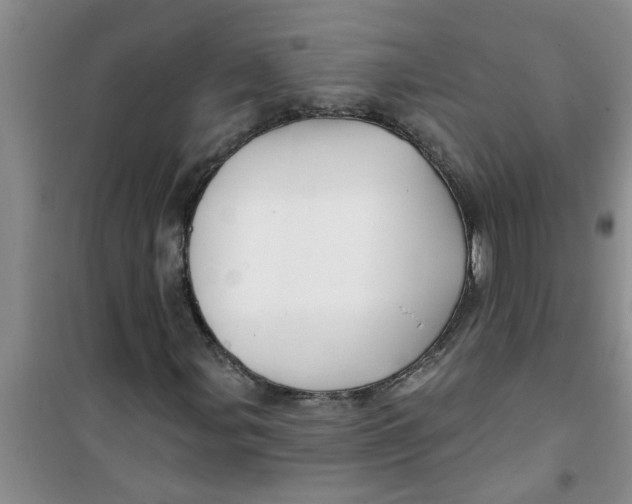 X0000100971107200807221203