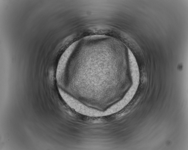 X0000100971108200807221203