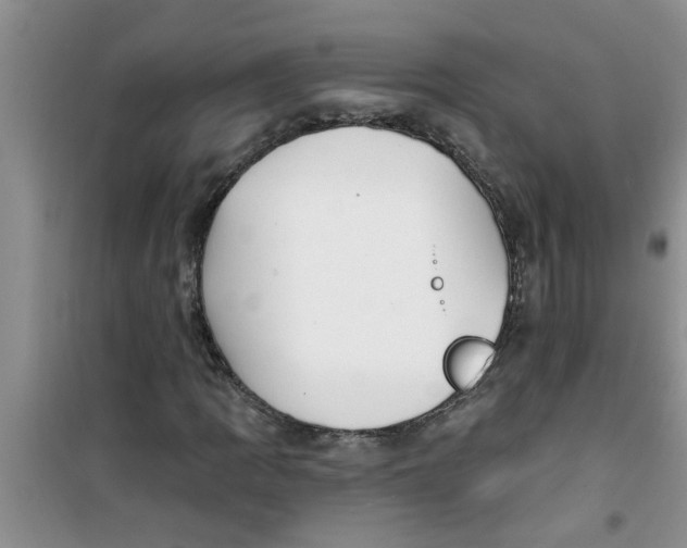 X0000100971109200807221203