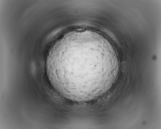 X0000100971111200807221203
