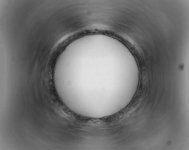 X0000100971112200807221203