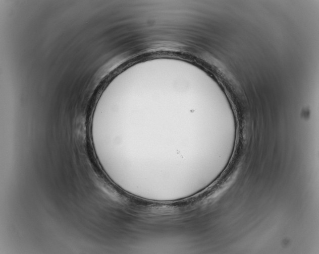 X0000100971113200807221203