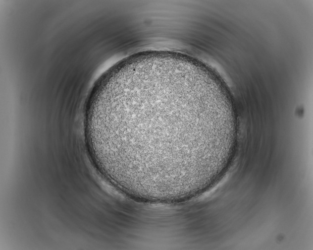 X0000100971114200807221203