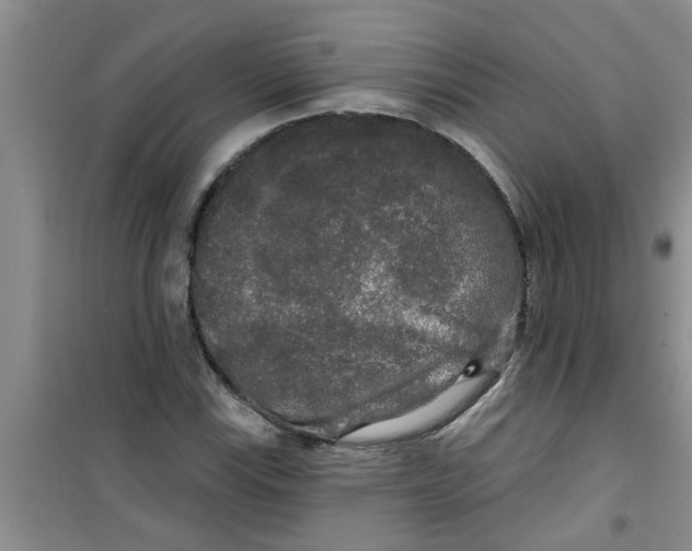 X0000100971115200807221203
