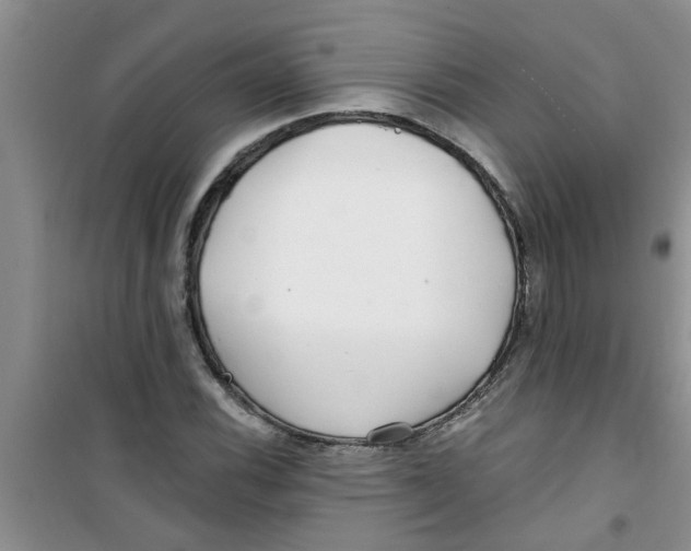 X0000100971116200807221203