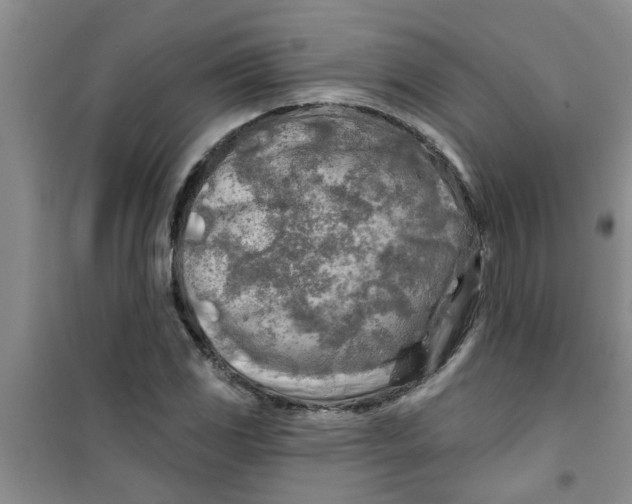 X0000100971117200807221203