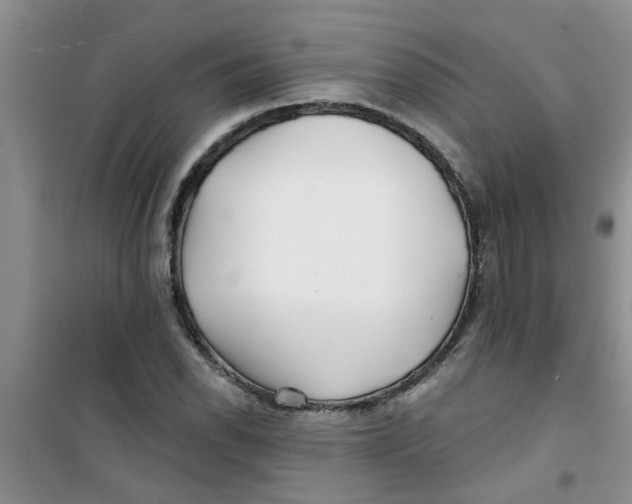 X0000100971118200807221203
