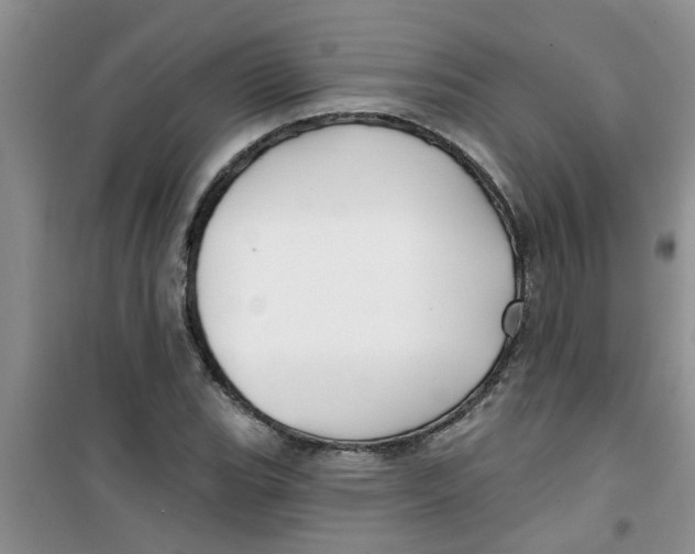 X0000100971119200807221203
