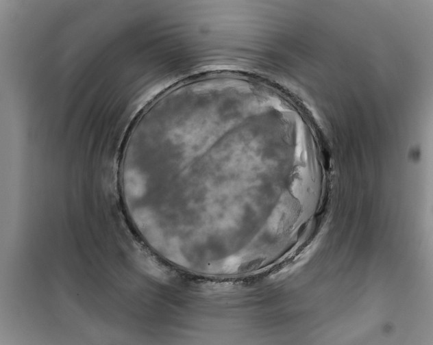 X0000100971121200807221203