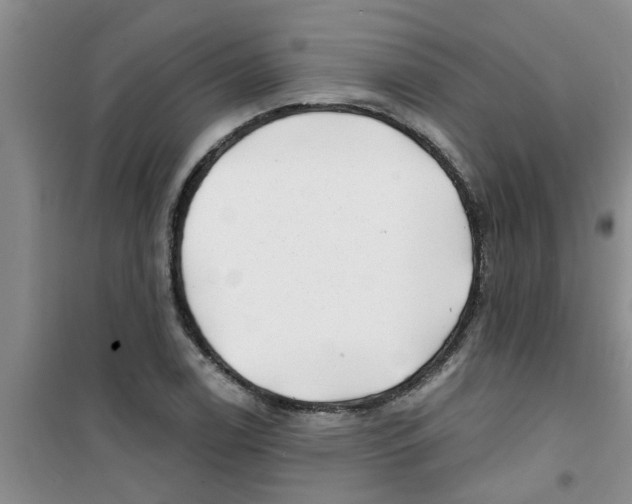 X0000100971122200807221203