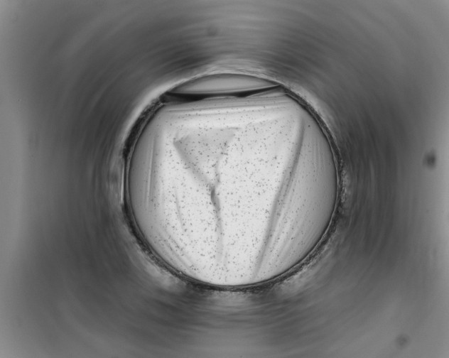 X0000100971123200807221203