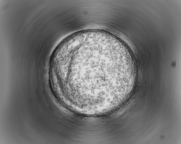 X0000100971124200807221203