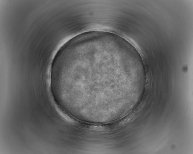 X0000100971128200807221203