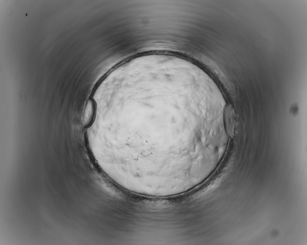 X0000100971129200807221203