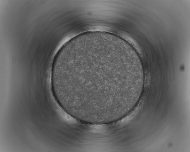 X0000100971130200807221203
