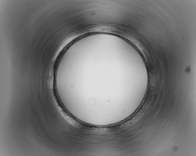 X0000100971131200807221203
