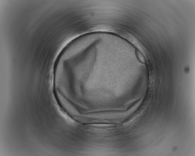 X0000100971132200807221203