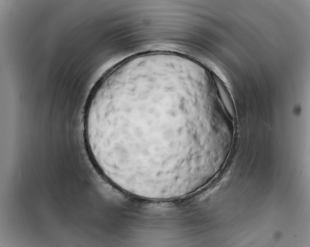 X0000100971133200807221203