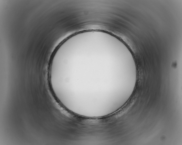 X0000100971134200807221203