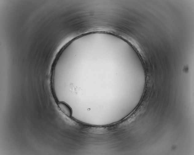X0000100971135200807221203