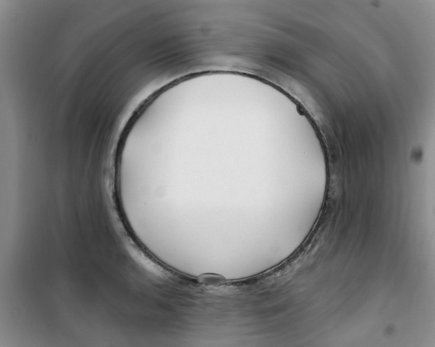 X0000100971136200807221203