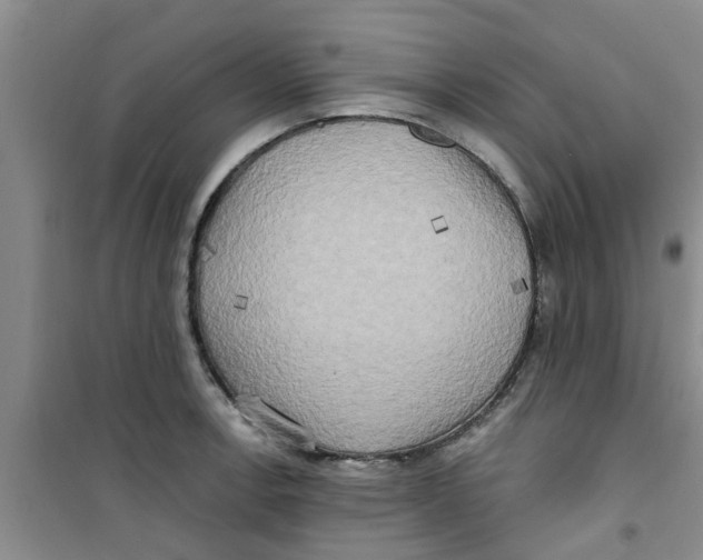 X0000100971138200807221203