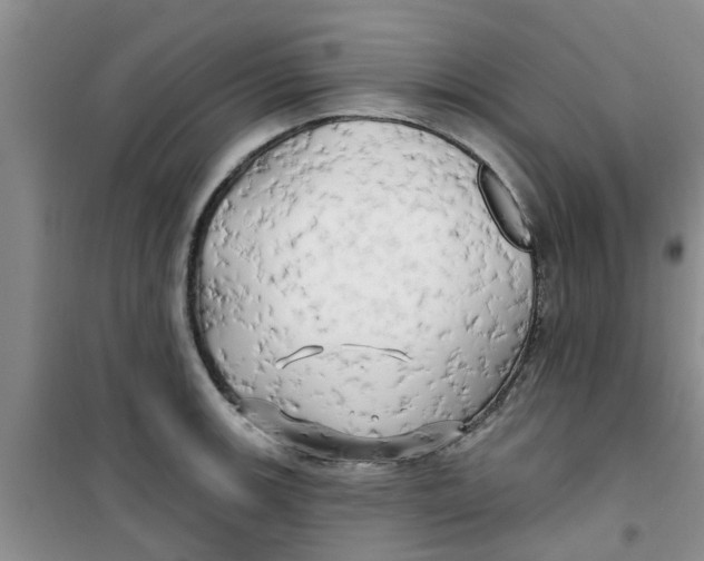 X0000100971139200807221203