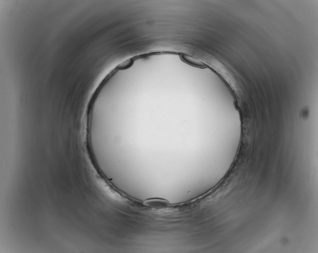 X0000100971140200807221203