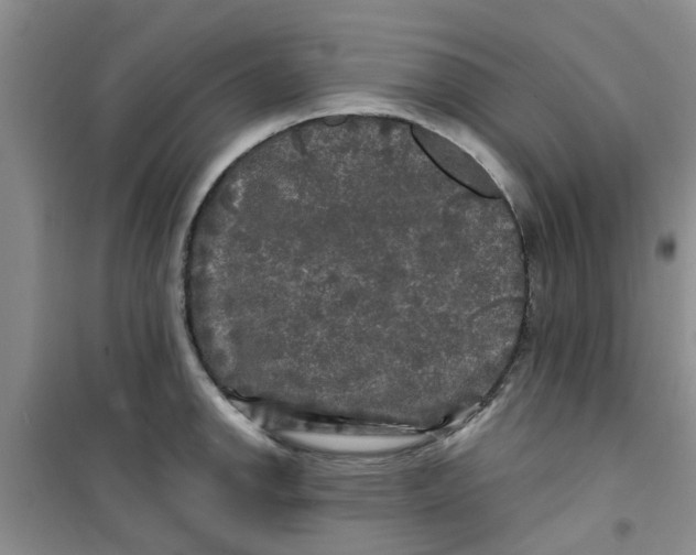 X0000100971142200807221203