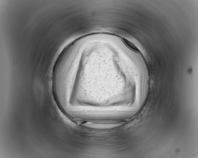 X0000100971143200807221203