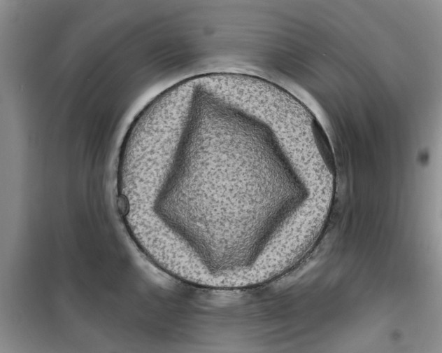 X0000100971144200807221203
