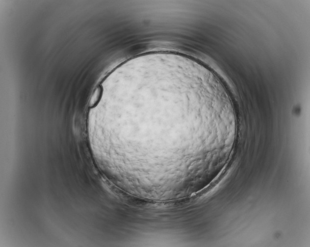X0000100971145200807221203