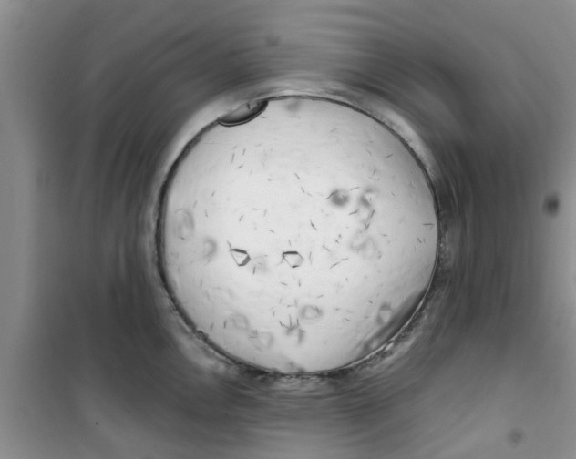 X0000100971146200807221203