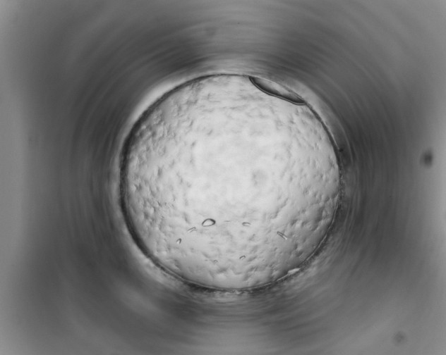 X0000100971147200807221203
