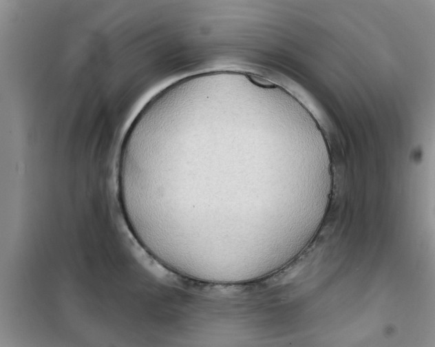 X0000100971148200807221203