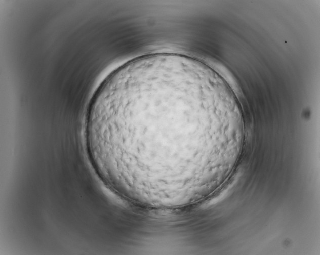X0000100971149200807221203