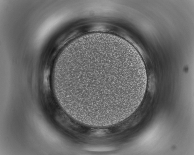 X0000100971150200807221203