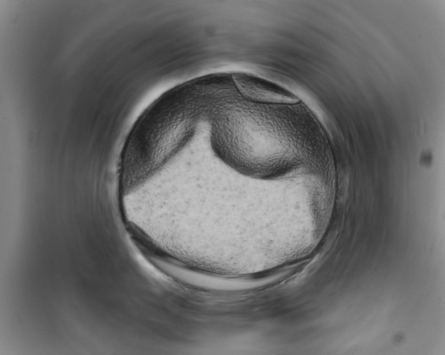 X0000100971151200807221203