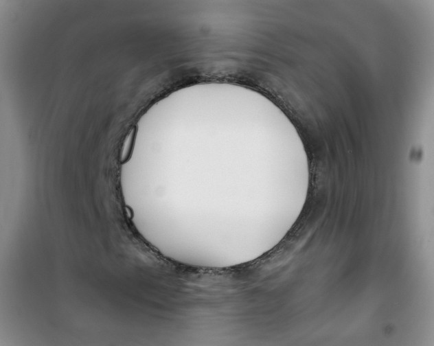 X0000100971153200807221202