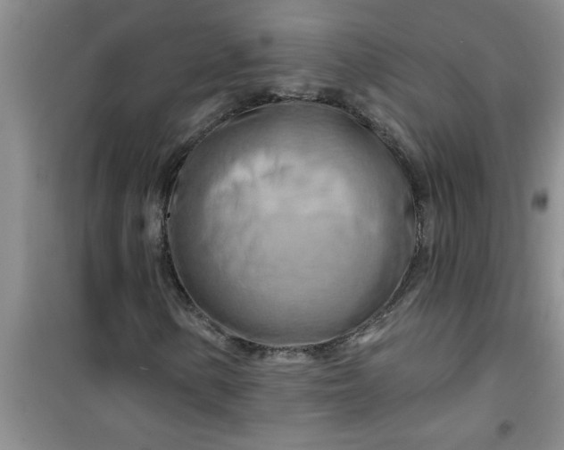 X0000100971154200807221202