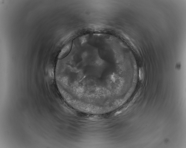 X0000100971155200807221202