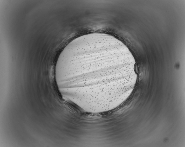 X0000100971156200807221202