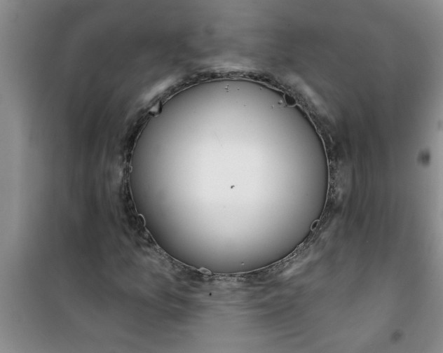 X0000100971157200807221202