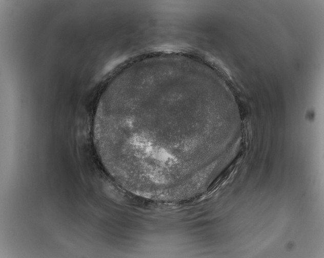X0000100971158200807221202