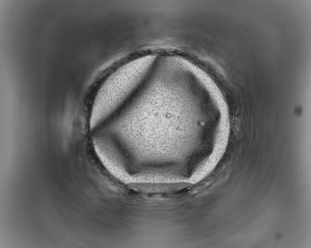 X0000100971159200807221202