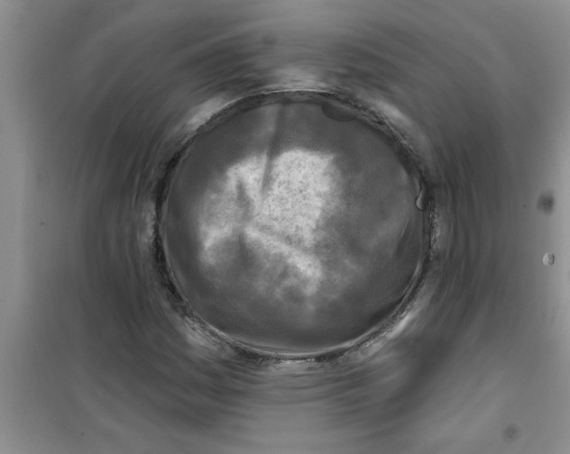 X0000100971161200807221202