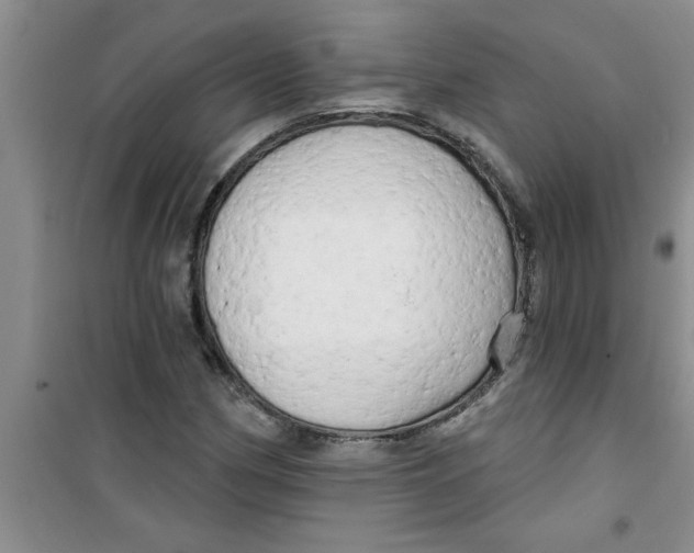 X0000100971162200807221202