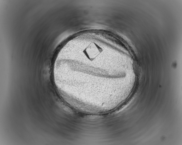 X0000100971163200807221202