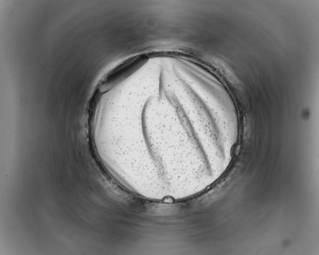 X0000100971164200807221202