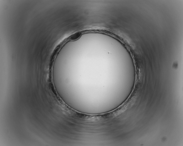 X0000100971165200807221202